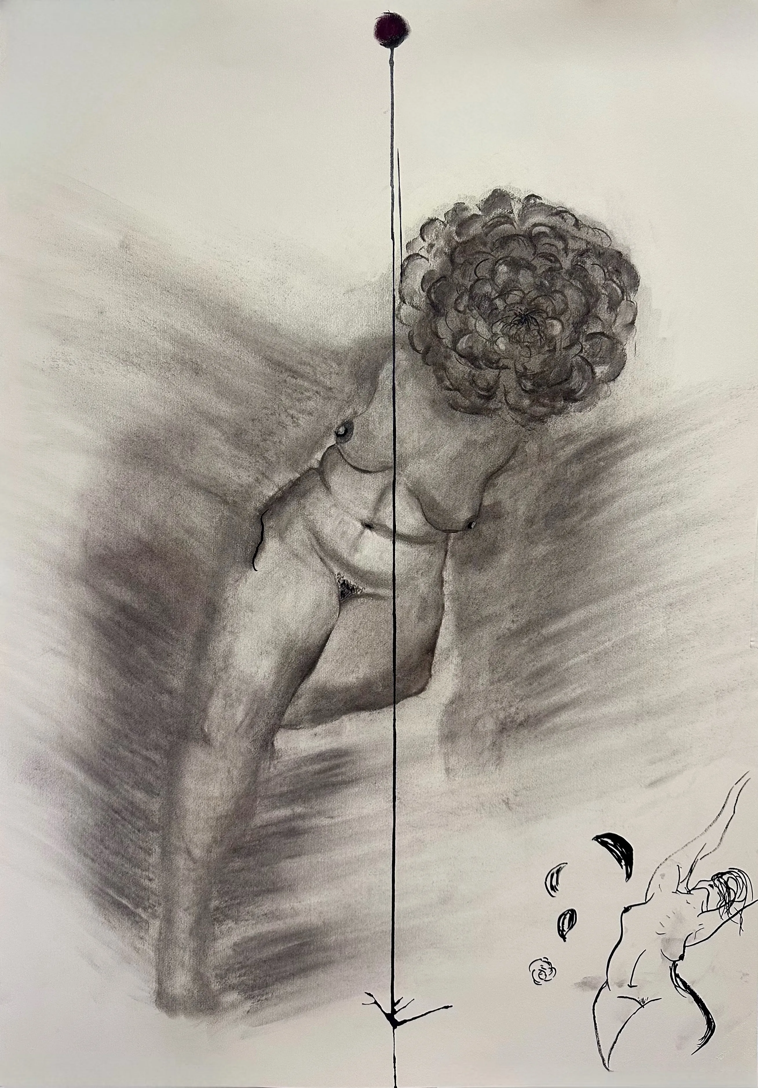 Зображення "Квітка" від Дарʼя Бутряшкіна , розмір: 100x70 см, матеріали: Вугілля, туш на папері, медіум: Графіка, місто: Львів, ціна: $160